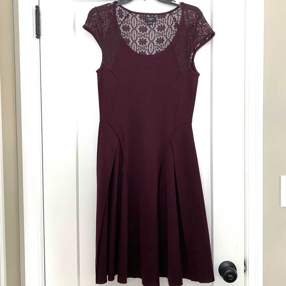 Anthropologie Dress with lace detail